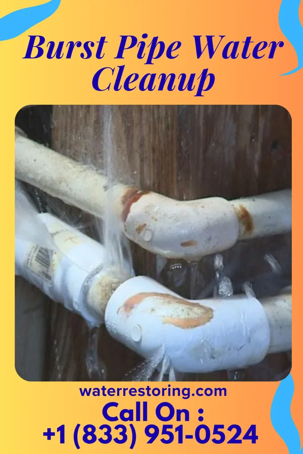 Burst Pipe Water Cleanup in Ferndale, PA