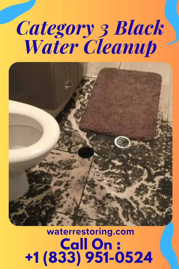 Category 3 Black Water Cleanup in Ferndale, PA