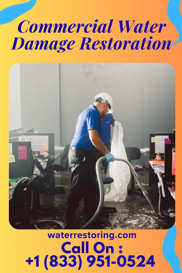 Commercial Water Damage Restoration in Ferndale, PA