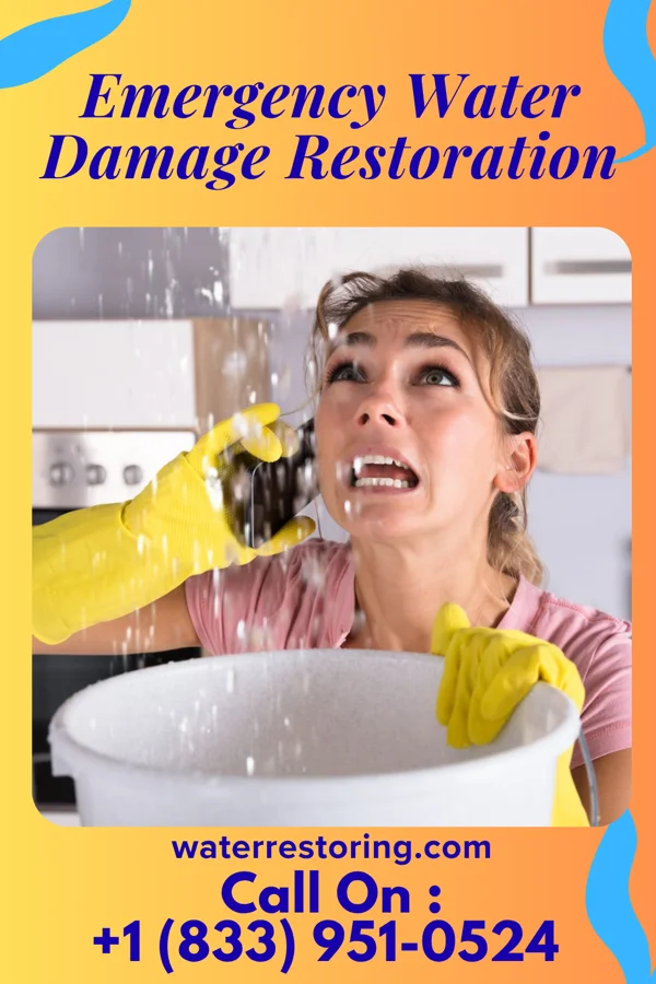 Emergency Water Damage Restoration in Ferndale, PA