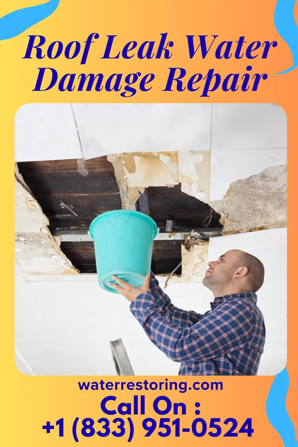 Roof Leak Water Damage Repair in Ferndale, PA