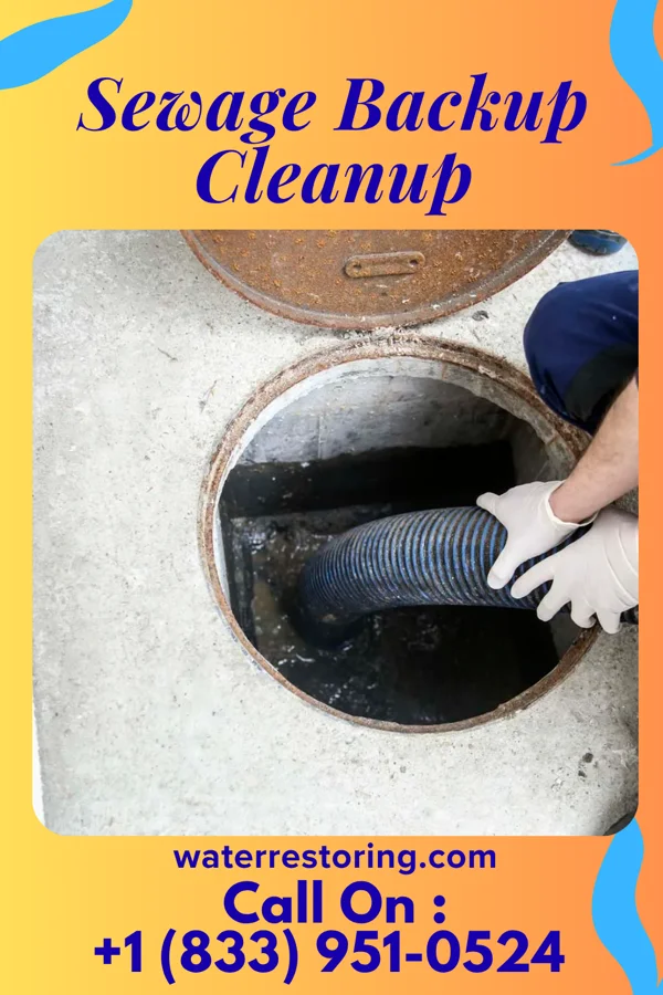 Sewage Backup Cleanup in Ferndale, PA