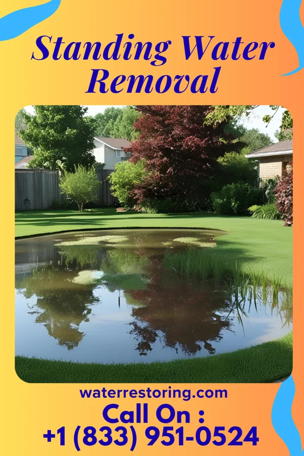 Standing Water Removal in Ferndale, PA